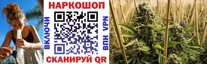 Наркотические вещества Новошахтинск ГАШ Марихуана COCAIN Героин ОМГ ОМГ зеркало СК Меф мяу мяу