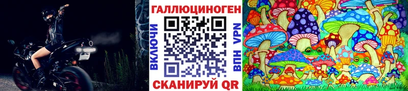Псилоцибиновые грибы Magic Shrooms  где найти наркотики  kraken вход  Новошахтинск 